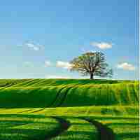 js常﻿用​工﻿具‌库﻿